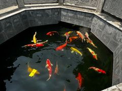 -西安市广仁寺
