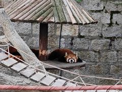 -上海野生动物园