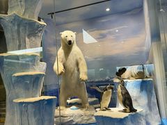 -国家自然博物馆