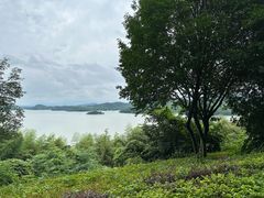 -天目湖涵田度假村