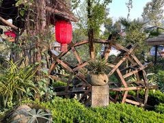 -青城甲(青城山店)