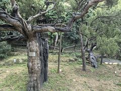 -草庵摩尼教遗址公园