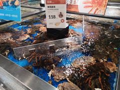波士顿龙虾-盒马鲜生(和谐广场店)