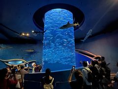 -香港海洋公园