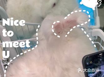 探店 | 周末来撸可爱的兔兔叭