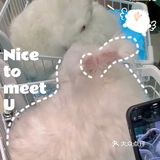 探店 | 周末来撸可爱的兔兔叭🐰