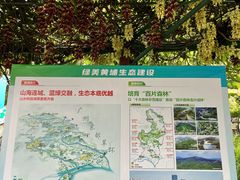 -天鹿湖森林公园