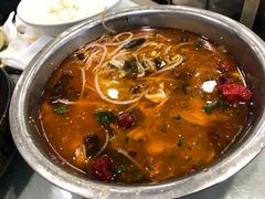 肥肠鱼-龙梅肥肠鱼(明瓦廊店)