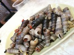 -贞姨美食·老字号海鲜大排档