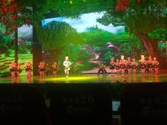 -澜沧江湄公河之夜歌舞篝火晚会