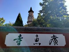 -真定郝家排骨(大十字街店)