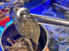 -四囍码头海鲜烧烤自助火锅(外滩南京东路悦荟广场店)