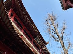 -钦赐仰殿道观