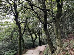 -南岳衡山风景名胜区