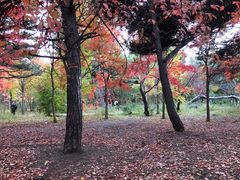 -长春市南湖公园