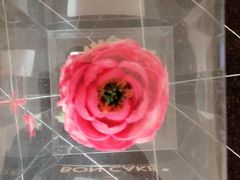 -BON CAKE(华贸购物中心店)