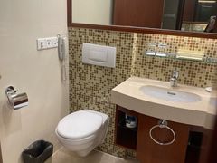 -汕尾巴黎半岛酒店