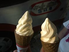 -富豪雪糕车流动点(尖沙咀店)