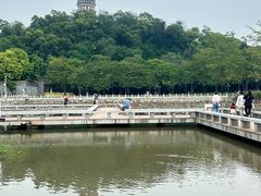 -顺峰山公园