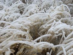 -大平台龙居瀑布旅游区