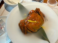 -觀芷隐轩