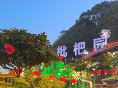 -枇杷园食为鲜火锅(南山店)