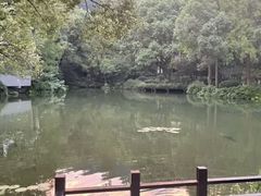 -杭州花家山庄