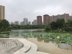 -木塔寺遗址生态公园