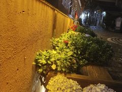 -木王宴语·野生鲜菌火锅(玉河店)