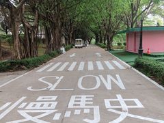 -广州世界大观
