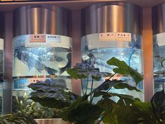 -老船舫·现做活鲜鱼馆(东郊记忆店)