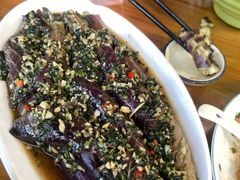 -遇龙河大樟树农家乐