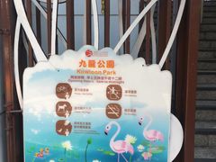 -九龙公园