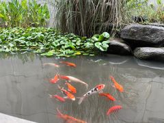 -中国湿地博物馆
