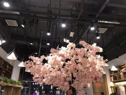 -简影造型·自选烫染接发salon