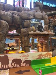 -卡通尼·Safari非洲探索乐园·生日会(金桥国际商业广场店)