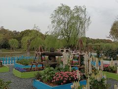 -上海鲜花港