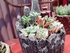 -上海人家花樣年华(中山公园店)