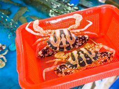 -四川小胡子海鲜(丁村万人海鲜广场店)