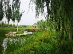 -张家湾公园