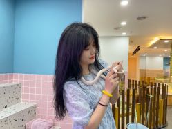 -Moni星球萌宠·小马宝莉·灵蛇·高端高阶全萌宠互动体验俱乐部(红豆国际广场店)