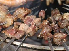 -袁家水泊水浒烤肉(白金店)