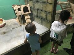 -白鹿仓冰雪海洋世界