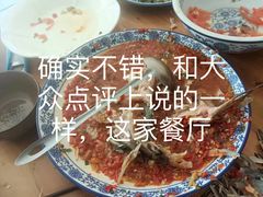 -特色口水鱼馆