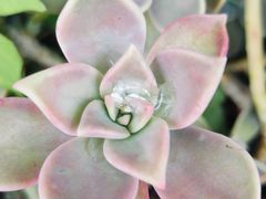 -羊亭河湿地公园