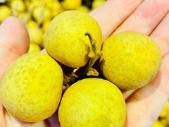 -盛福小关菜市场