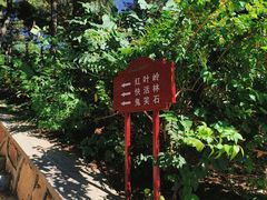 -北京西山国家森林公园