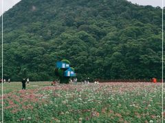 -广州市石门国家森林公园