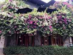 -随善园餐厅(大理店)