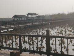 -天津东丽湖风景区